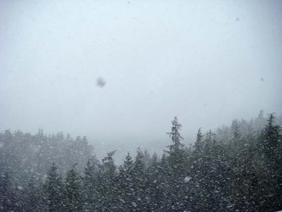 Snowstorm in Ketchikan, Alaska. March 21, 2008.