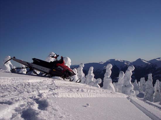 Bone Dragon snowmobile