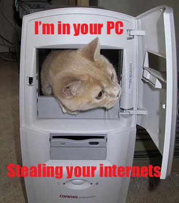I'm in your PC, stealing your internets.