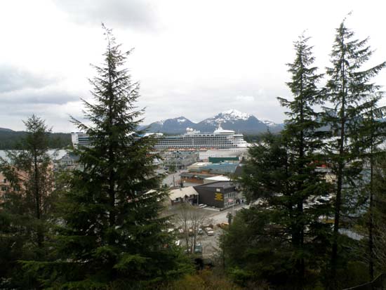 Star Princess seen through trees in Ketchikan, Alaska May 6, 2008.