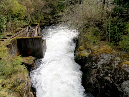 Ketchikan Creek fish ladder.