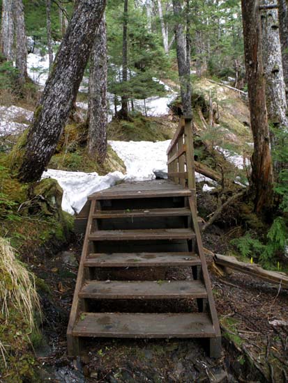 Little bridge, as far as I got on Deer Mountain Trail, May 13 2008.