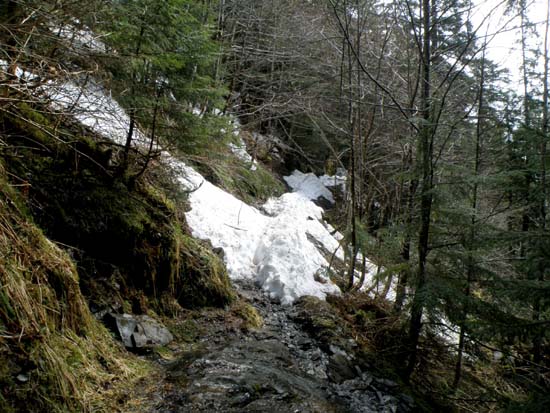 Difficult snow on the Deer Mountain Trail, May 13 2008.