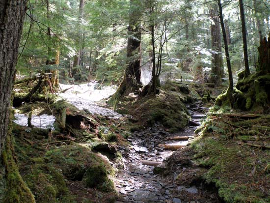 First significant patch of snow on Deer Mountain Trail, May 13 2008.