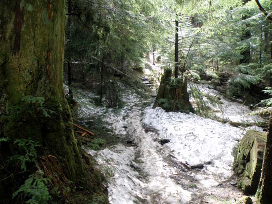 Snow across the trail, May 13 2008.