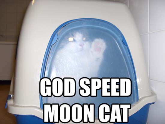 God speed moon cat