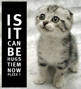 Is it can be hugs tiem now plees?