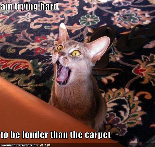 Am trying hard to be louder than the carpet