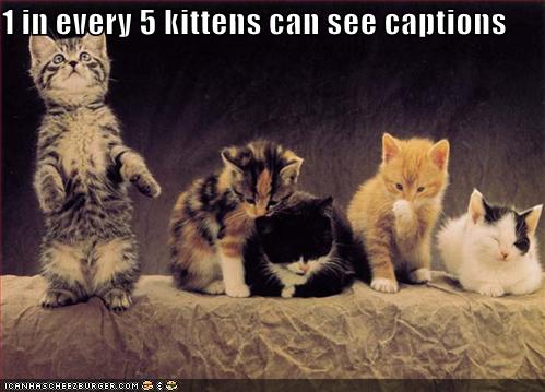 1 in every 5 kittens can see captions