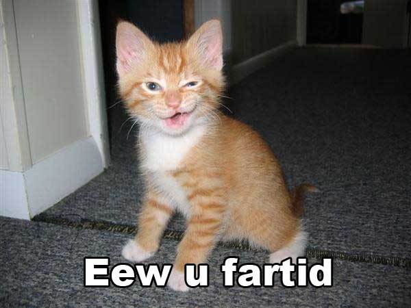 Master Marf Caturday Damnit Cookie Farted