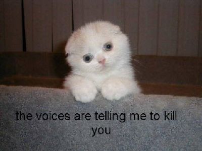 The voices are telling me to kill you