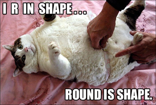 I r in shape... / Round is shape.