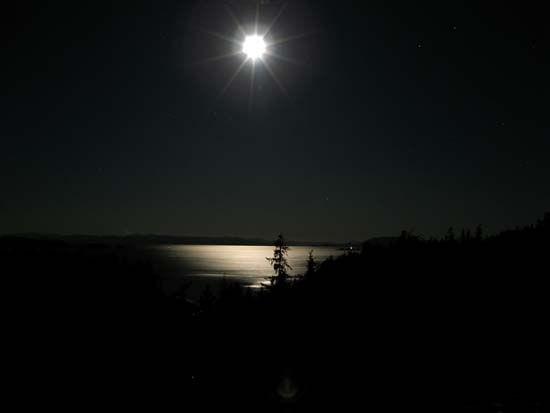 Moonlit Reflection