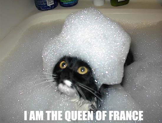 I am the queen of France