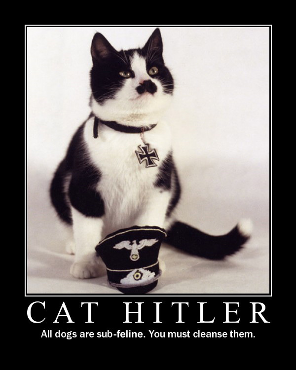 Adolf Cat