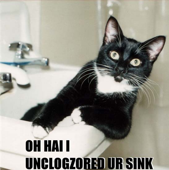 Oh hai I unclogzored ur sink