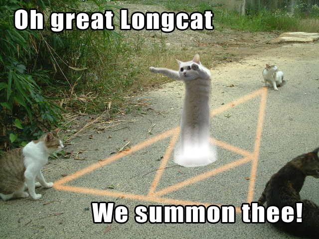 090523-longcat-summon.jpg