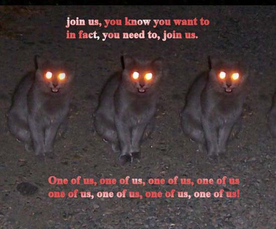 join us, you know you want to in fact, you need to, join us. / One of us, one of us, one of us, one of us, one of us, one of us, one of us, one of us!