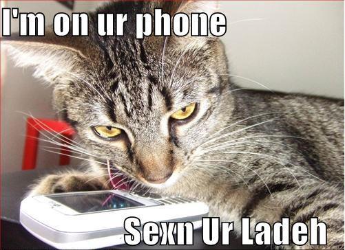 I'm on ur phone Sexn Ur Ladeh