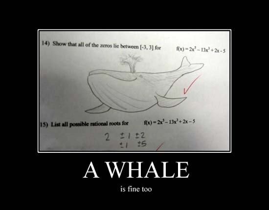 A Whale / is fine too