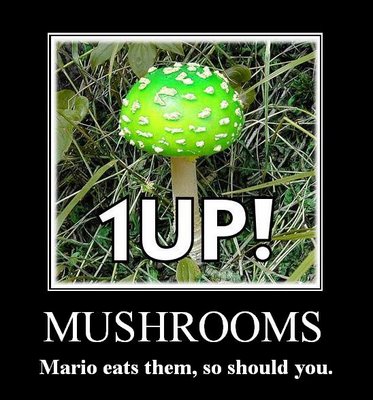 Mushrooms / Mario eats them, so should you.