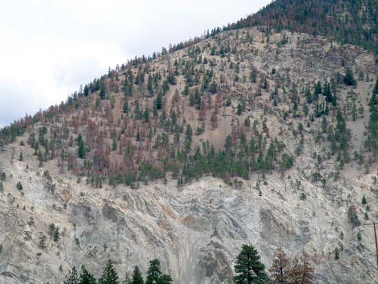 Mountainside near Cache Creek in Canada.