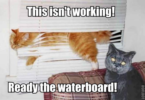 This isn''t working! Ready the waterboard!