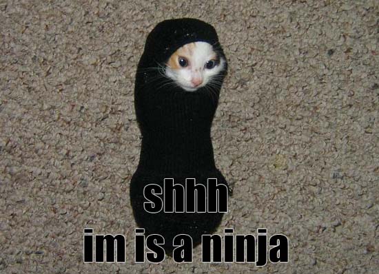 shhh im is a ninja