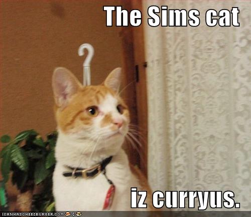 The Sims Cat iz curryus.