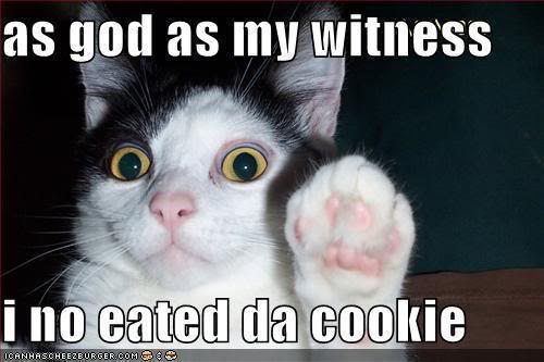 as god as my witness i no eated da cookie