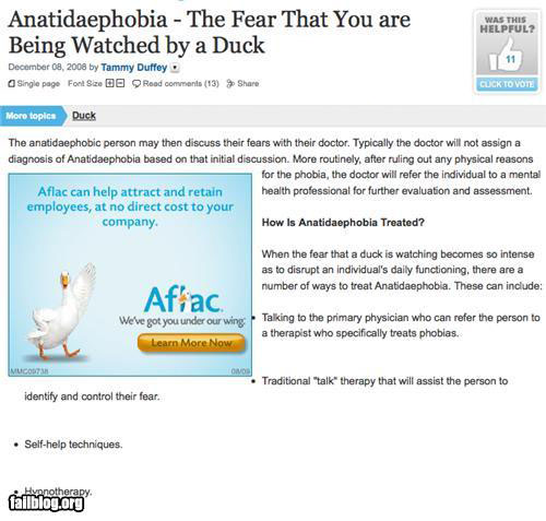 Anatidaephobia - The Fear That You are Being Watched by a Duck / Aflac We've got you under our wing.
