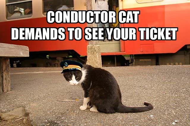 091107-conductor-cat.jpg