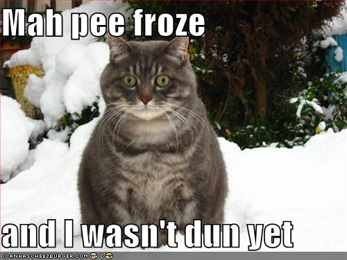 funny snow quotes. It#39;s been cold with snow on