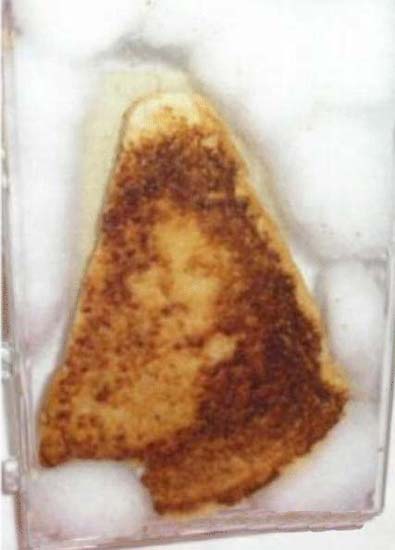 091209-pareidolia-grilled-cheese.jpg