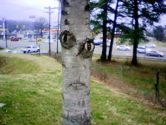 Alien tree.