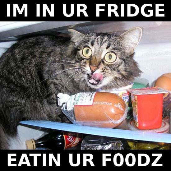 Im in ur fridge eatin ur foodz