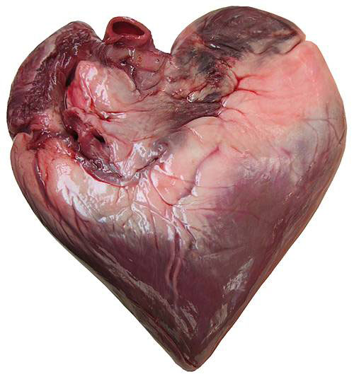 Meat heart