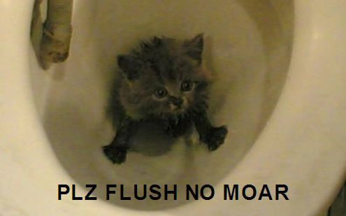 Plz flush no moar