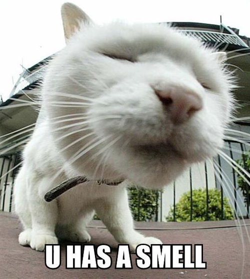 u has a smell