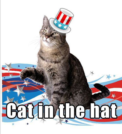 Cat in the hat