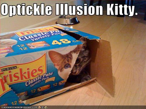 Optickle Illusion Kitty.