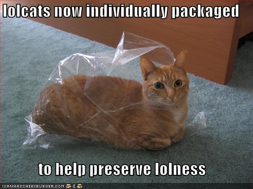 lolcats now individually packaged to help preserve lolness