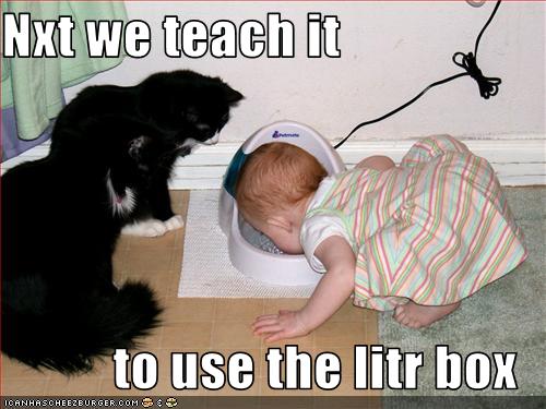 Nxt we teach it to use the litr box