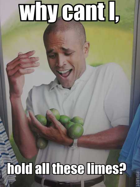 why can't I, hold all these limes?