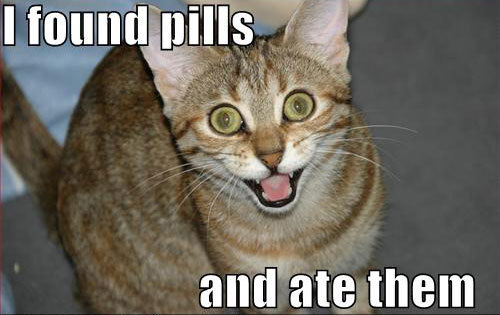 I found pills and ate them