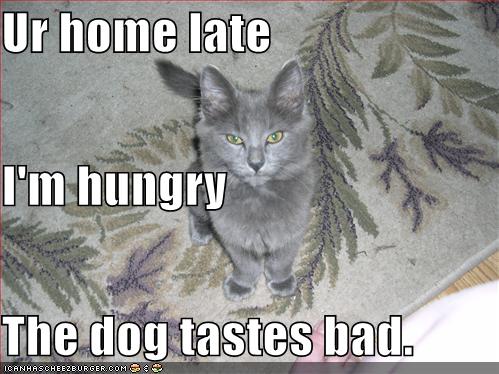 Ur home late I'm hungry The dog tastes bad.