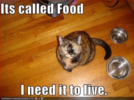 Its called Food I need it to live.