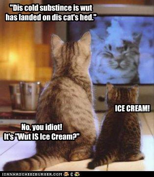 "Dis cold substince is wut has landed on dis cat's hed." / ICE CREAM! / No, you idiot! it's "Wut IS Ice Cream?"